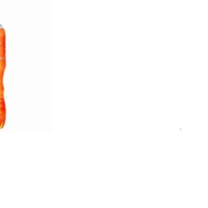 GUARANA BACKUS 2LT