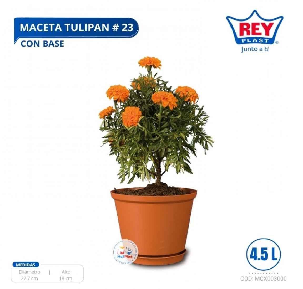 MACETA TULIPAN # 23 C/ BASE