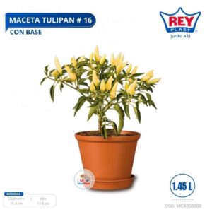 MACETA TULIPAN # 16 C/ BASE