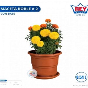 MACETA ROBLE # 2 C/ BASE