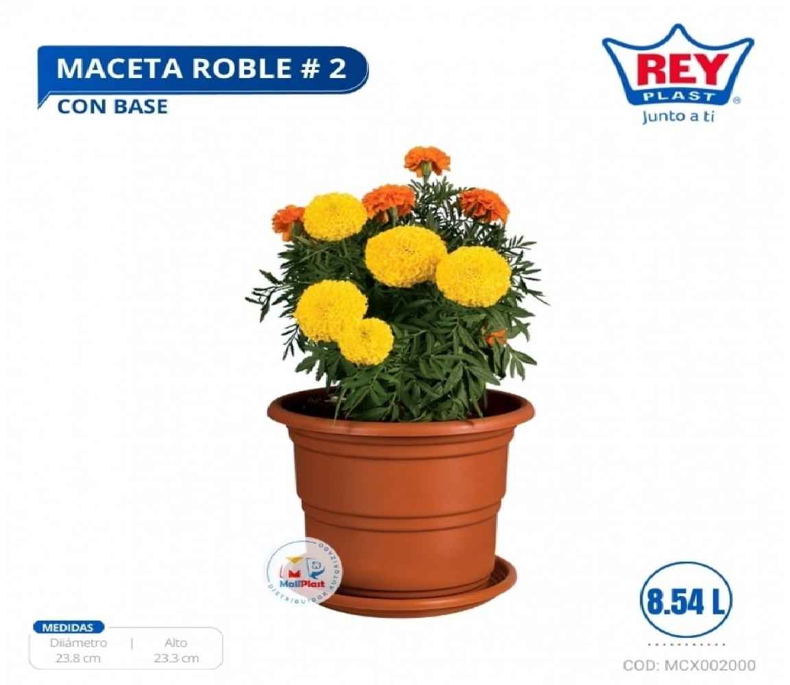 MACETA ROBLE # 2 C/ BASE